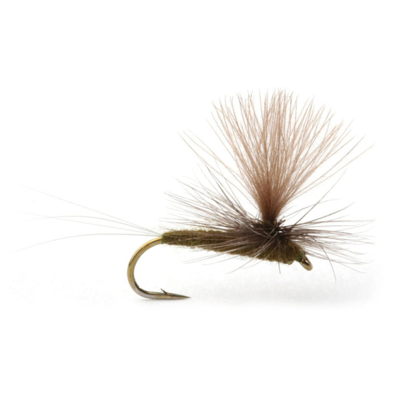 Baetis Dark Olive - 14 dans le groupe Leurres / Mouches / Mouches sèches l\'adresse Sportfiskeprylar.se (101394GL)