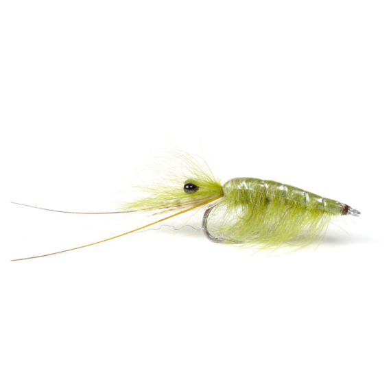 Olive CDC Shrimp #6 dans le groupe Leurres / Mouches / Streamers l\'adresse Sportfiskeprylar.se (101583GL)