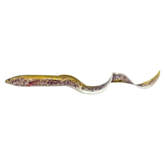 Savage Gear Real Eel dans le groupe Leurre de la peche / Leurre souple / Jigs à brochets l\'adresse Sportfiskeprylar.se (1631029r)