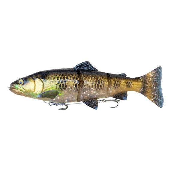 Savage Gear 4D Line Thru Trout 30cm, 290g SS dans le groupe Leurres / Swimbaits / Swimbaits souples l\'adresse Sportfiskeprylar.se (1635903r)