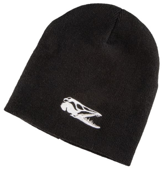 IFISH Beanie dans le groupe Outlet l\'adresse Sportfiskeprylar.se (20241266)