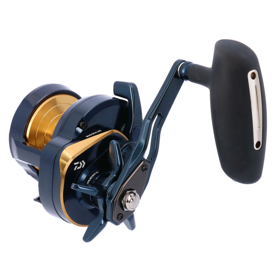 Daiwa 24 Saltiga 15 dans le groupe Outlet l\'adresse Sportfiskeprylar.se (32-223202r)