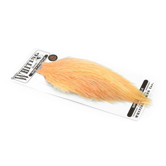 Whiting Bronze Spey Hackle Cape dans le groupe Hameçons et terminal tackle / Fabrication mouche / Matériel fabrication mouche / Plumes et capes / Capes et selles l\'adresse Sportfiskeprylar.se (61301008r)