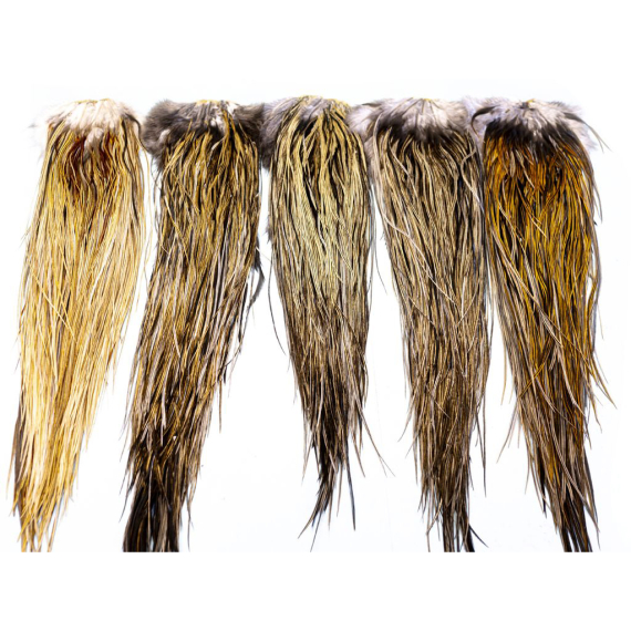 Whiting Heritage Hackle Saddle dans le groupe Hameçons et terminal tackle / Fabrication mouche / Matériel fabrication mouche / Plumes et capes / Capes et selles l\'adresse Sportfiskeprylar.se (87802007r)