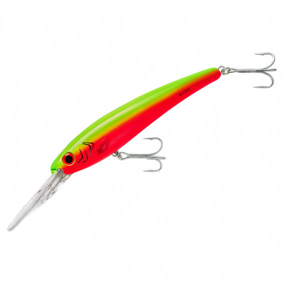 Bomber Saltwater Certified Depth dans le groupe Leurres / Crankbaits l\'adresse Sportfiskeprylar.se (BSWCD30-330r)