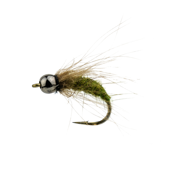 Caddis fly BH dans le groupe Leurres / Mouches / Nymphes l\'adresse Sportfiskeprylar.se (F30-1021-12r)