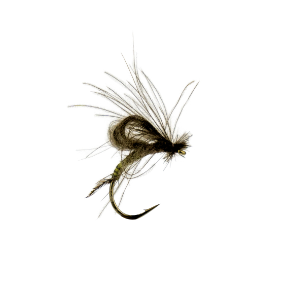 Baetis Emerger Olive Biot dans le groupe Leurres / Mouches / Mouches sèches l\'adresse Sportfiskeprylar.se (F30-1070-13r)