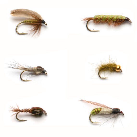 Flies - Dragonflies Wet dans le groupe Leurres / Mouches l\'adresse Sportfiskeprylar.se (F99-031)