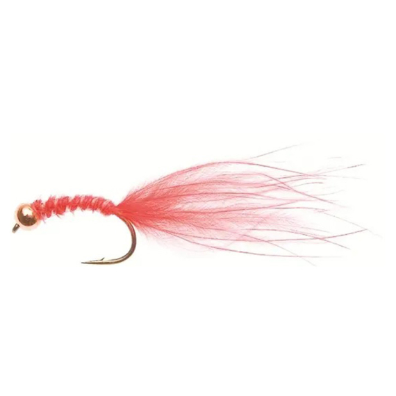 Blood Worm Red TMC 2487 #10 dans le groupe Leurres / Mouches / Nymphes l\'adresse Sportfiskeprylar.se (FL24048)