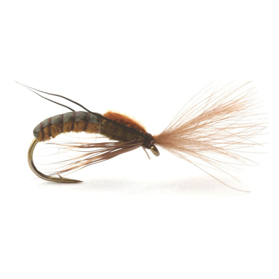 Super Emerging Caddis Brown Olive dans le groupe Leurres / Mouches / Mouches sèches l\'adresse Sportfiskeprylar.se (GL46166r)