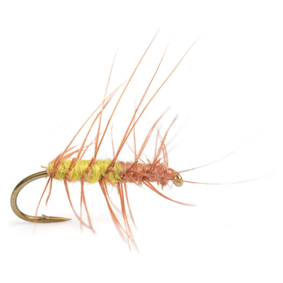 Superpuppa Olive/Rust size 12 dans le groupe Leurres / Mouches / Mouches sèches l\'adresse Sportfiskeprylar.se (HF0143-12)