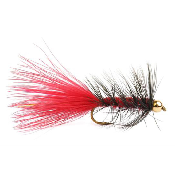 Wolly Bugger Gold Head Red Black size 8 dans le groupe Leurres / Mouches / Streamers l\'adresse Sportfiskeprylar.se (HF1231-8)