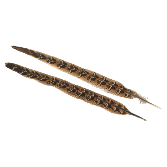 Pheasant Hen Ringneck Centre Tails dans le groupe Hameçons et terminal tackle / Fabrication mouche / Matériel fabrication mouche / Plumes et capes / Hackle l\'adresse Sportfiskeprylar.se (V5151)