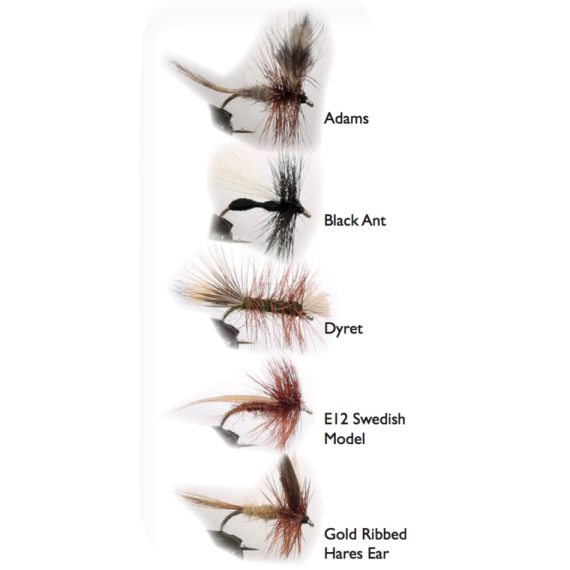 Dry Fly 2 5-pack dans le groupe Leurres / Mouches / Mouches sèches l\'adresse Sportfiskeprylar.se (WFB124)