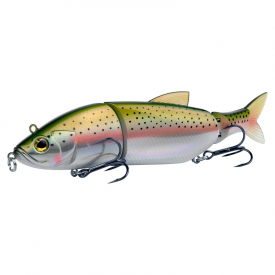 Rainbow Trout