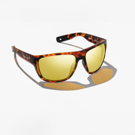 Just Landed: Bajío Sunglasses 