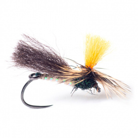 Guideline Indi Caddis #12