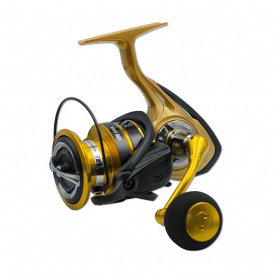 Daiwa Aird LT