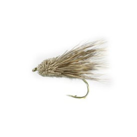 Streaking Caddis