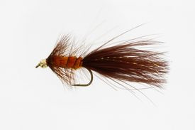 Dog Nobbler Brown/Orange Kamasan B170 #4