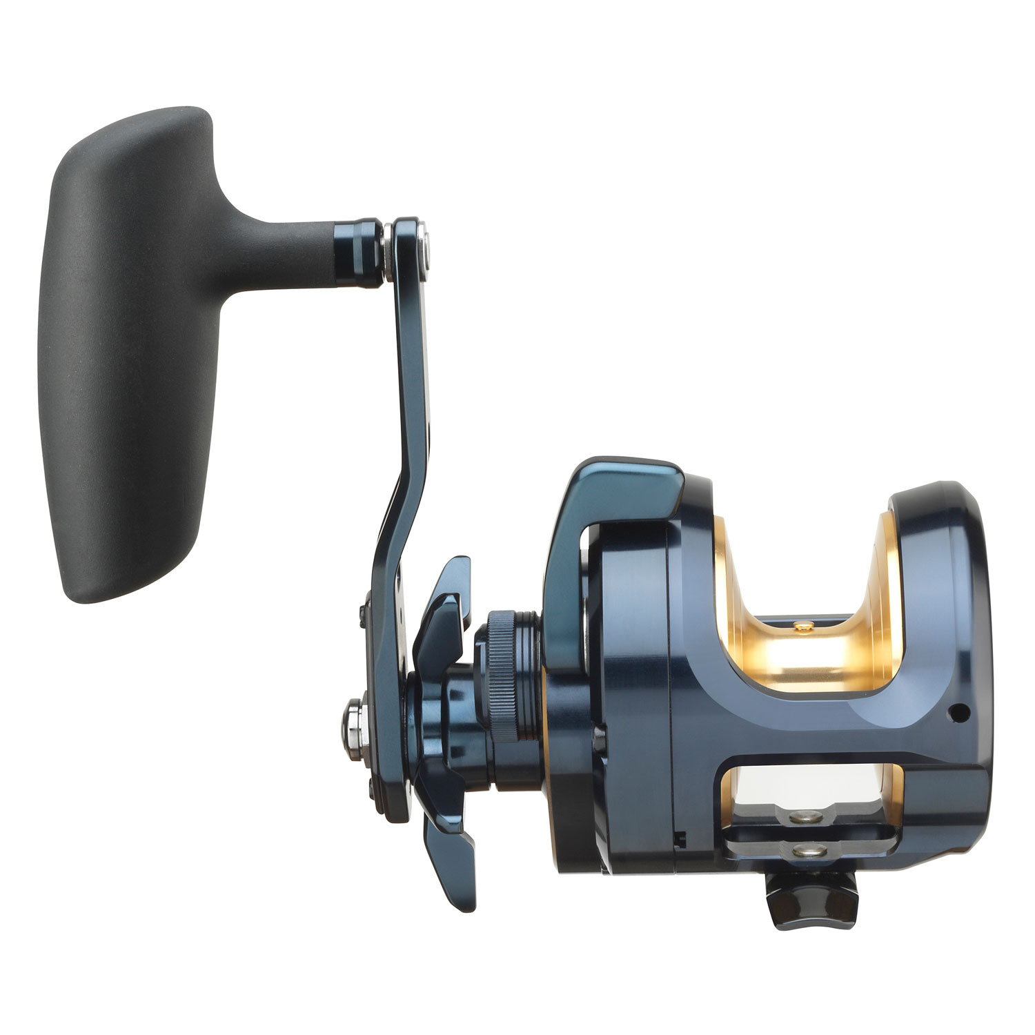 Daiwa 24 Saltiga 15